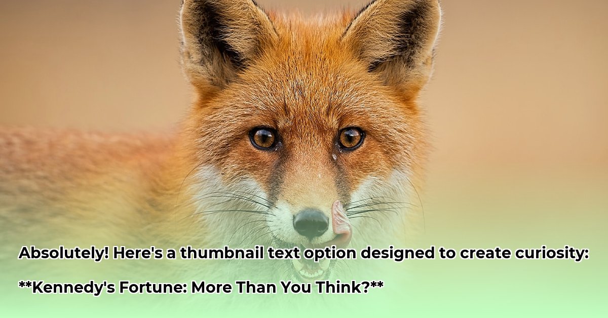 fox-news-kennedy-net-worth